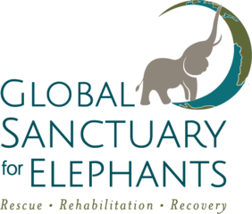 Group logo